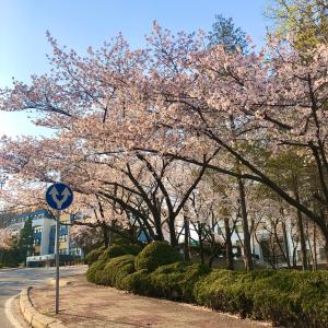 이미지 없음