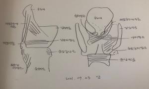 이미지 없음