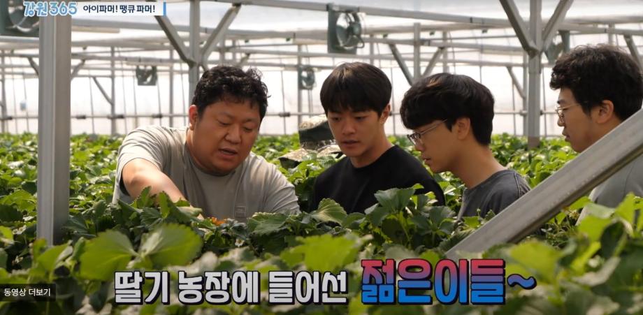 스마트팜생명과학과 동아리 '아이파머' 강원 365 방송 출연