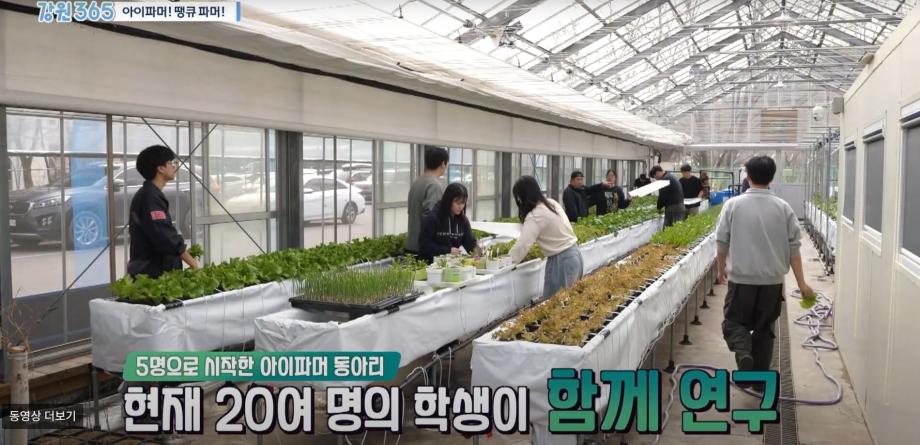 스마트팜생명과학과 동아리 &#39;아이파머&#39; 강원 365 방송 출연 7