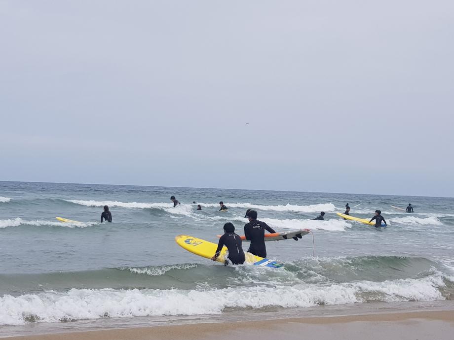 생활체육학전공 등산및캠핑 수업 &#39;서핑&#39; 7